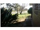 42 Cobram St, Berrigan NSW 2712