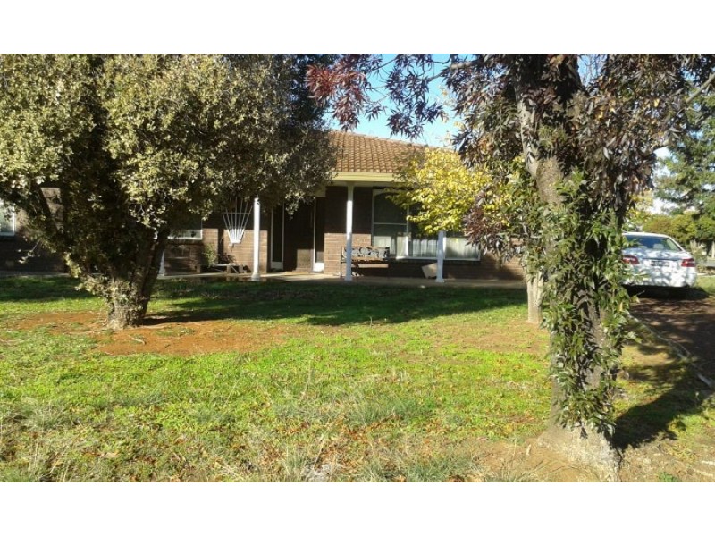 42 Cobram St, Berrigan NSW 2712