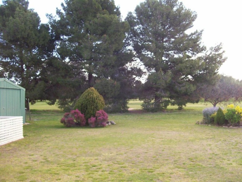 49 Cobram St, Berrigan NSW 2712