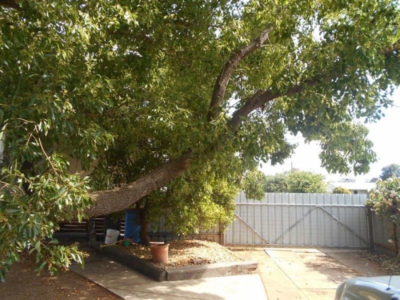 123 Chanter St, Berrigan NSW 2712