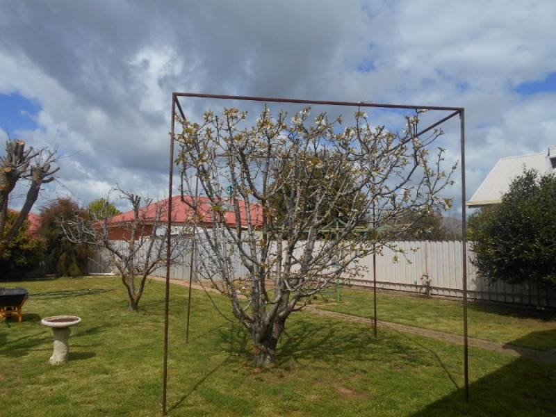 10 Alexander Ave, Berrigan NSW 2712