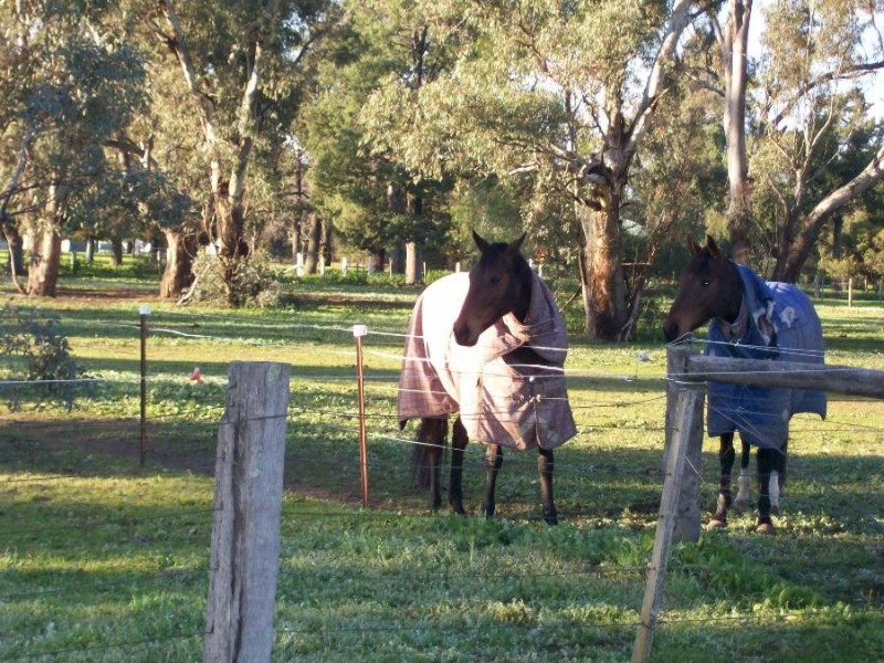 Lot 40 Racecourse Rd, Berrigan NSW 2712