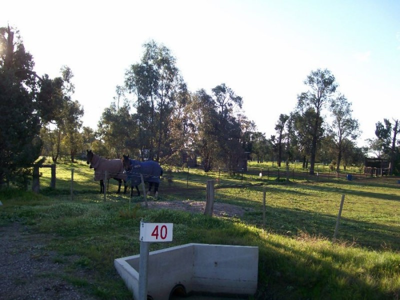 Lot 40 Racecourse Rd, Berrigan NSW 2712