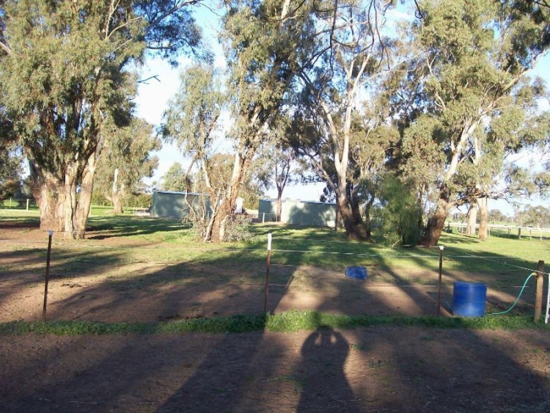 Lot 40 Racecourse Rd, Berrigan NSW 2712