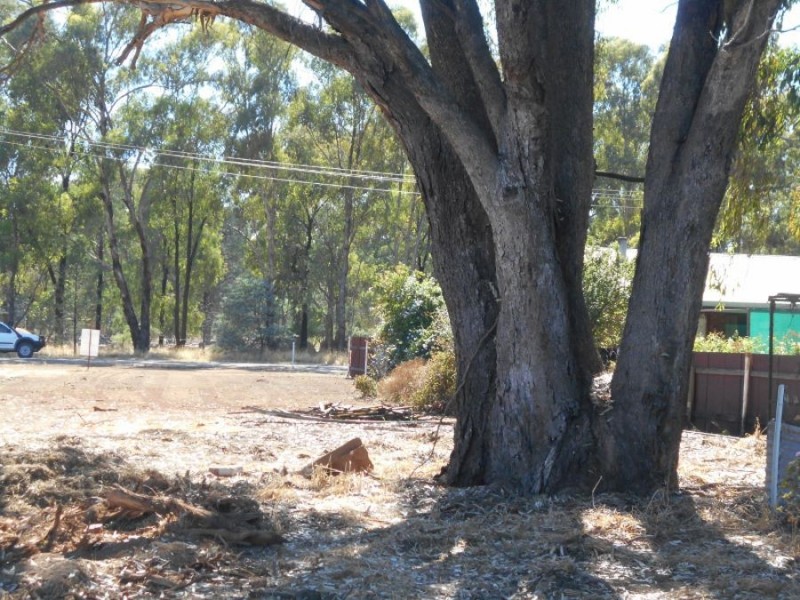 85 Denison St, Berrigan NSW 2712