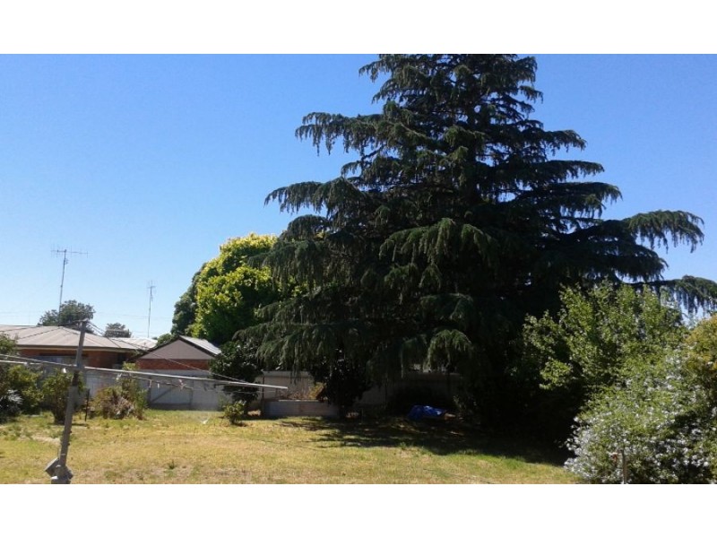 50 Tocumwal St, Finley NSW 2713