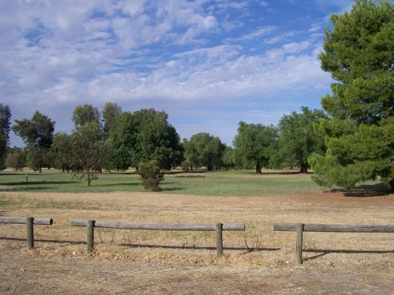 41 COBRAM STREET, Berrigan NSW 2712