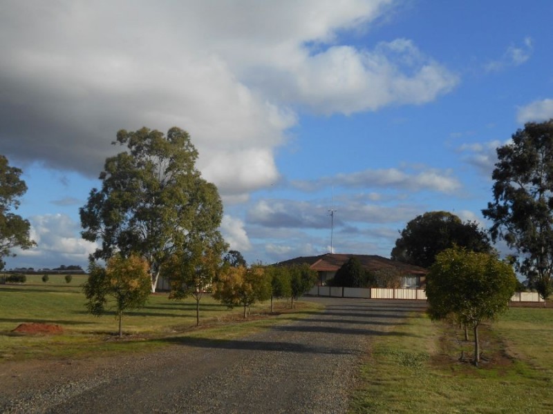 153 Chanter St, Berrigan NSW 2712