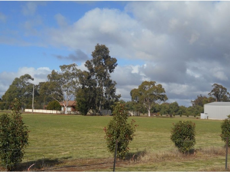 153 Chanter St, Berrigan NSW 2712