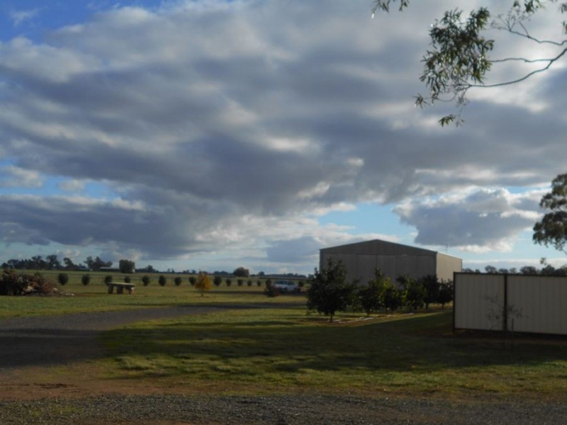 153 Chanter St, Berrigan NSW 2712