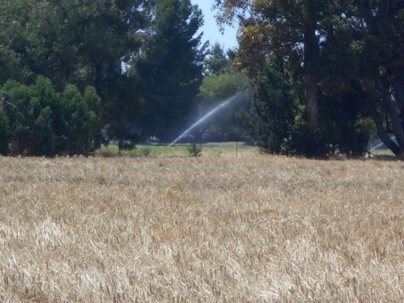 153 Chanter St, Berrigan NSW 2712