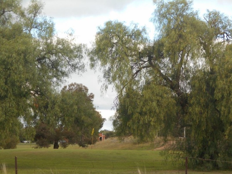 153 Chanter St, Berrigan NSW 2712