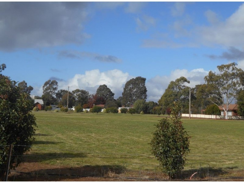 153 Chanter St, Berrigan NSW 2712