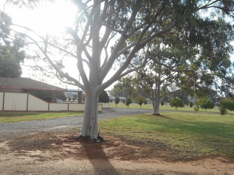 153 Chanter St, Berrigan NSW 2712