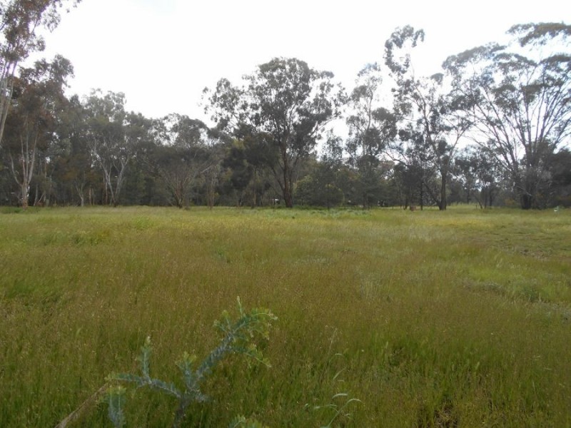 9 William St, Berrigan NSW 2712