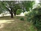 Monomeith Jerilderie Road, Berrigan NSW 2712