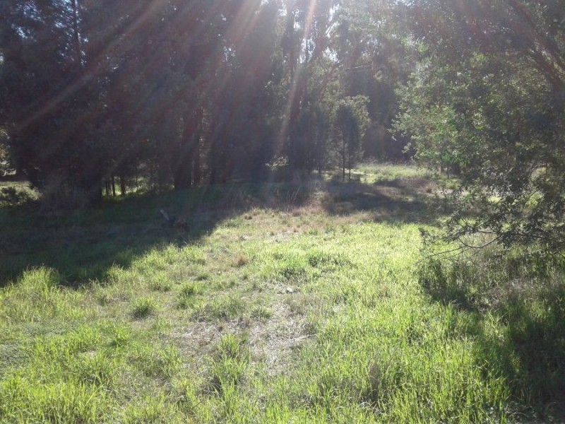 6-8 Thornber St, Oaklands NSW 2646