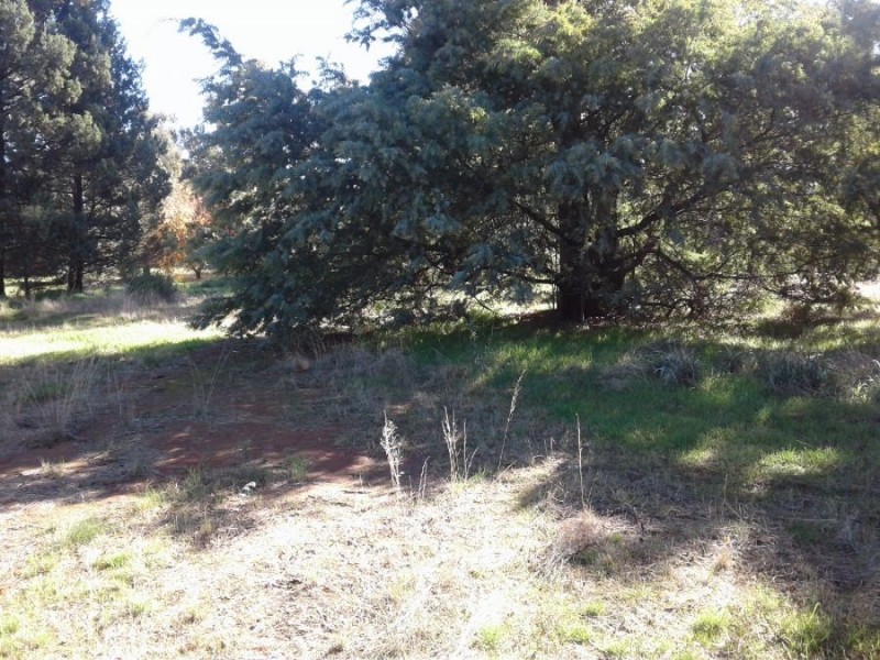 6-8 Thornber St, Oaklands NSW 2646