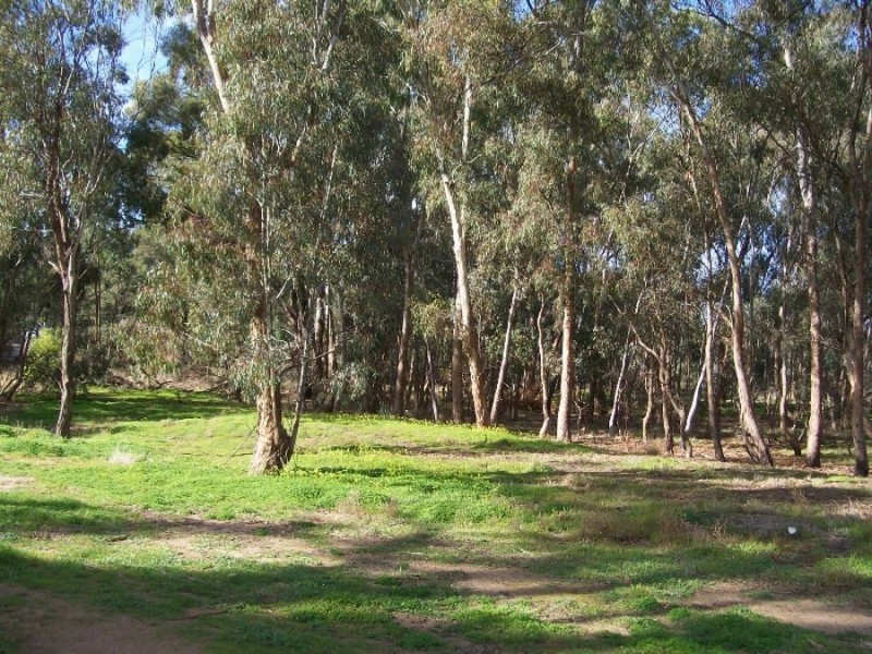 18-32 High St, Berrigan NSW 2712