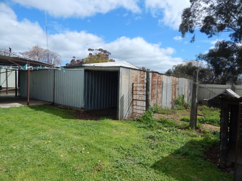 60 Buller Street, Oaklands NSW 2646