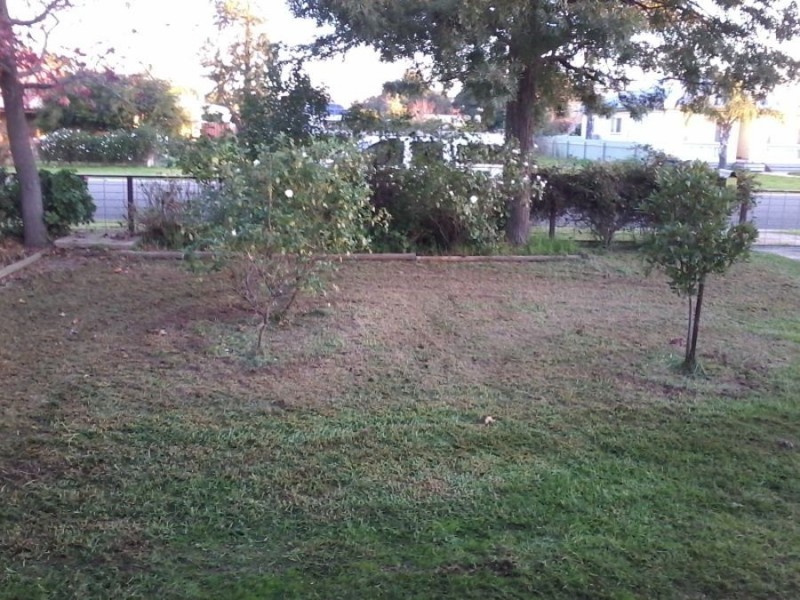 13 Budd St, Berrigan NSW 2712