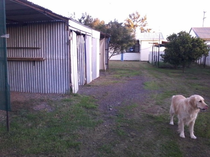 13 Budd St, Berrigan NSW 2712