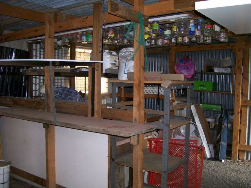 13 Budd St, Berrigan NSW 2712