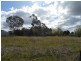 lot 6 Lysaght St, Berrigan NSW 2712