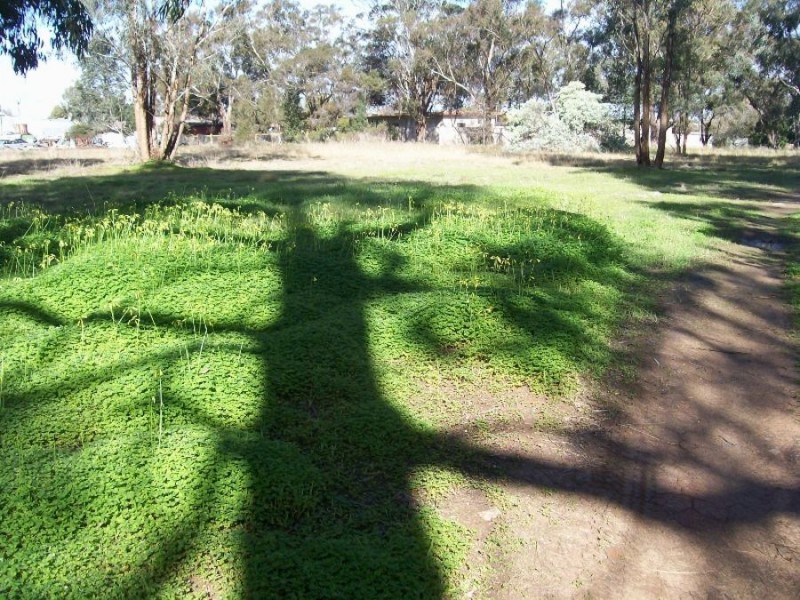 14 – 32 High ST, Berrigan NSW 2712