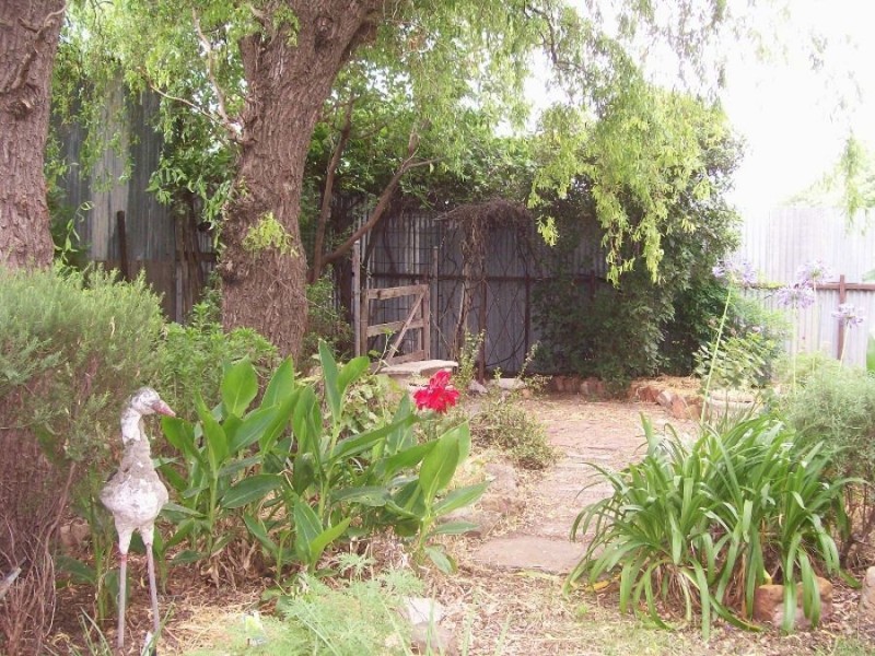 53-61 Chanter St, Berrigan NSW 2712