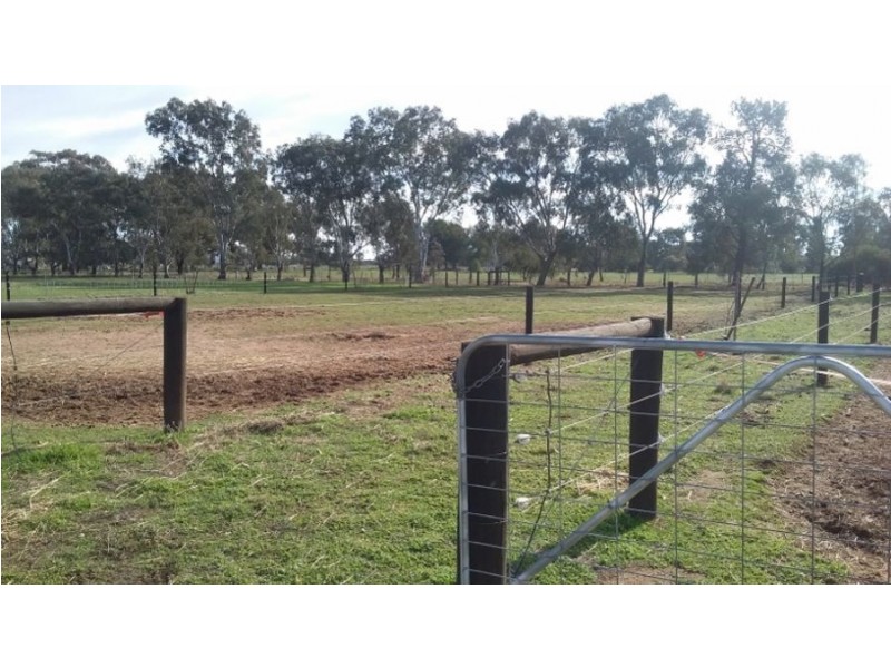 70-78 Nangunia St, Berrigan NSW 2712