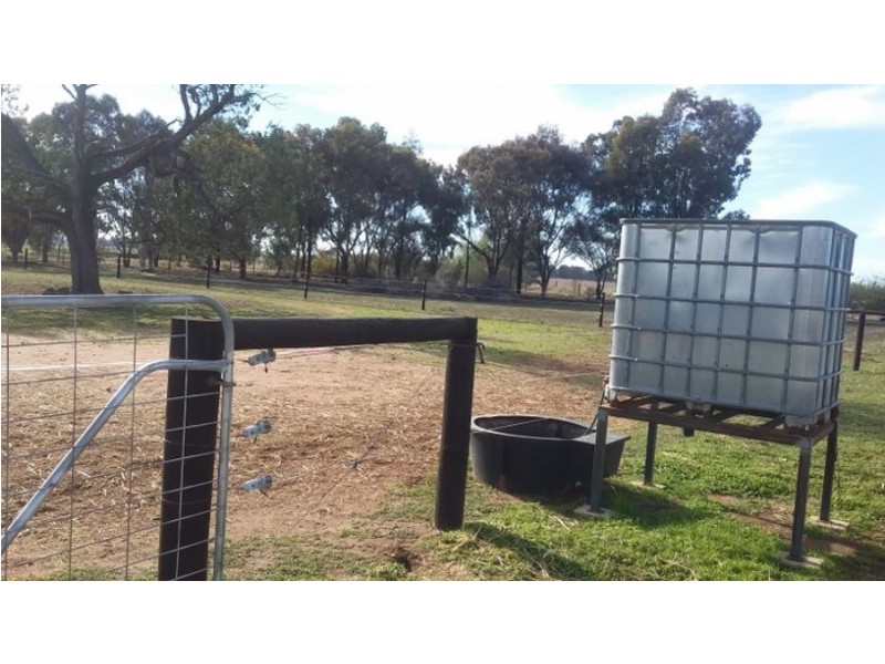 70-78 Nangunia St, Berrigan NSW 2712