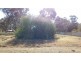 176 Jerilderie St, Berrigan NSW 2712