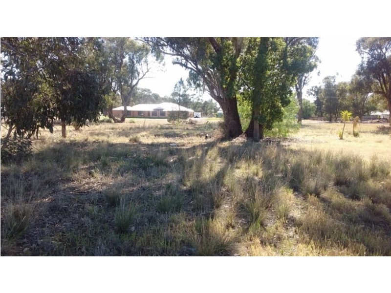 176 Jerilderie St, Berrigan NSW 2712