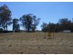 37-39 William St, Berrigan NSW 2712