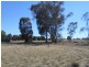 37-39 William St, Berrigan NSW 2712