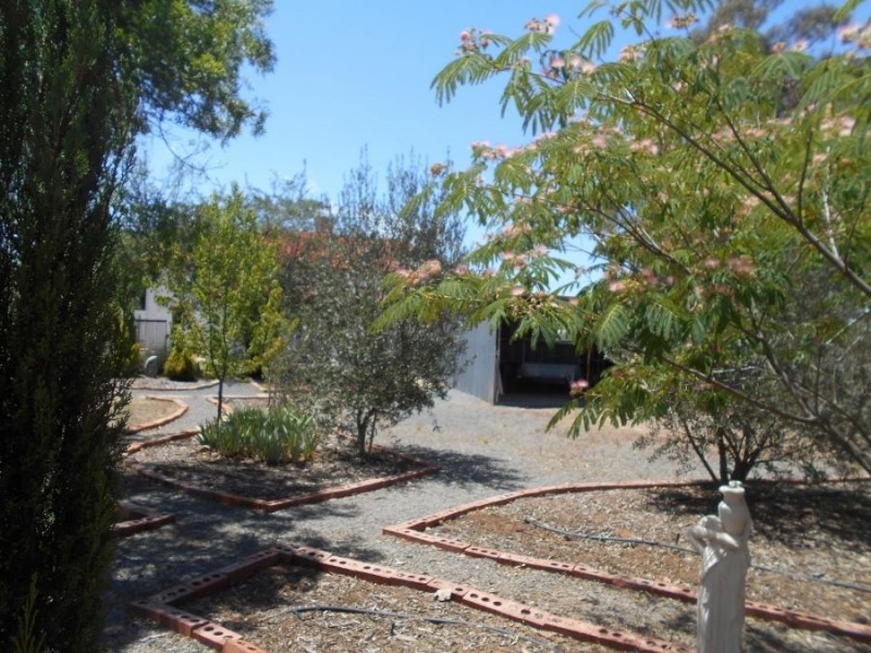 21 Drummond St, Berrigan NSW 2712