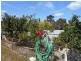 30 Davis St, Berrigan NSW 2712