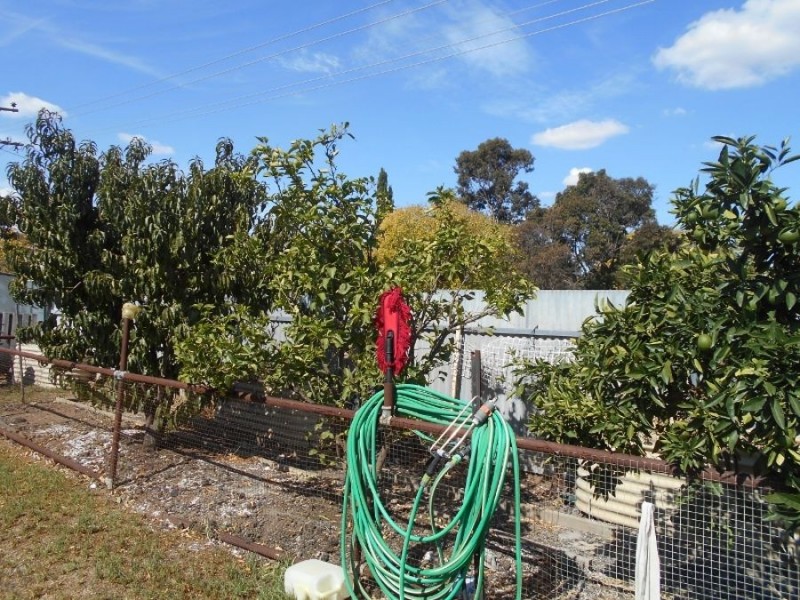 30 Davis St, Berrigan NSW 2712