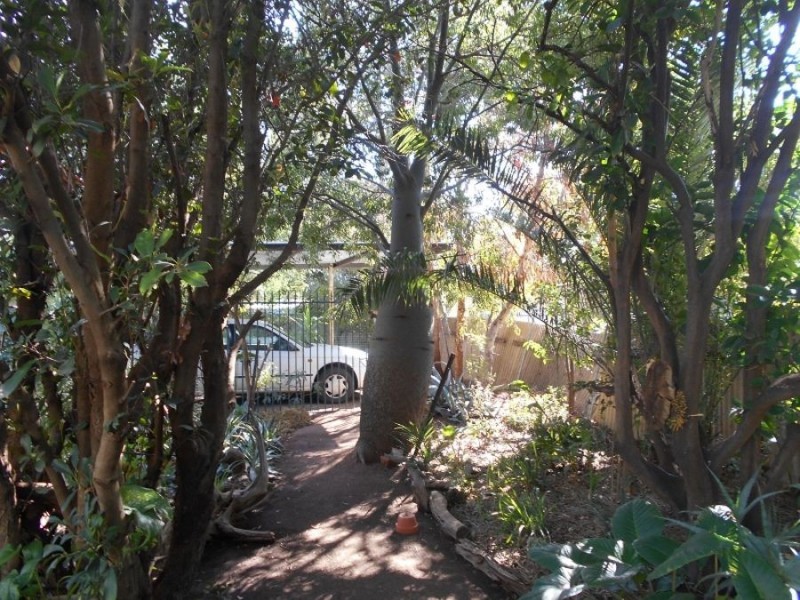 35 Budd St, Berrigan NSW 2712