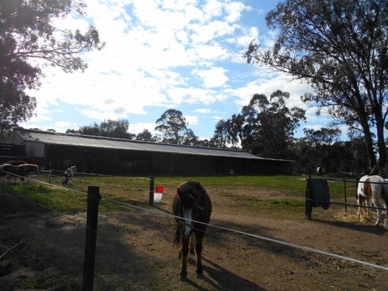 102-104 Barooga St, Berrigan NSW 2712