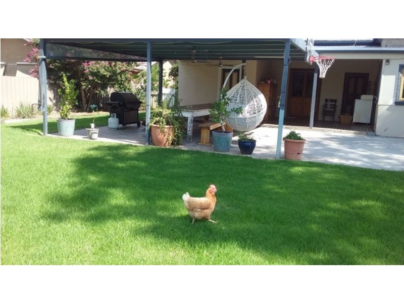 141 Chanter St, Berrigan NSW 2712