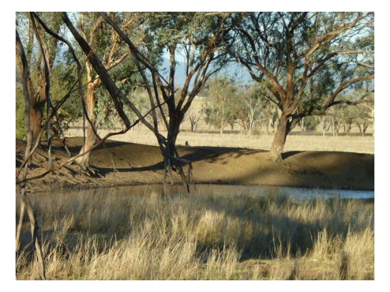 ROCKLEIGH – Winton, Tamworth NSW 2340