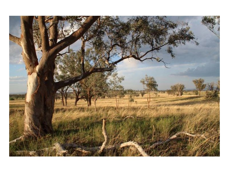 ROCKLEIGH – Winton, Tamworth NSW 2340