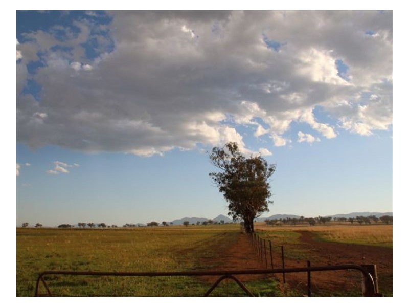 ROCKLEIGH – Winton, Tamworth NSW 2340