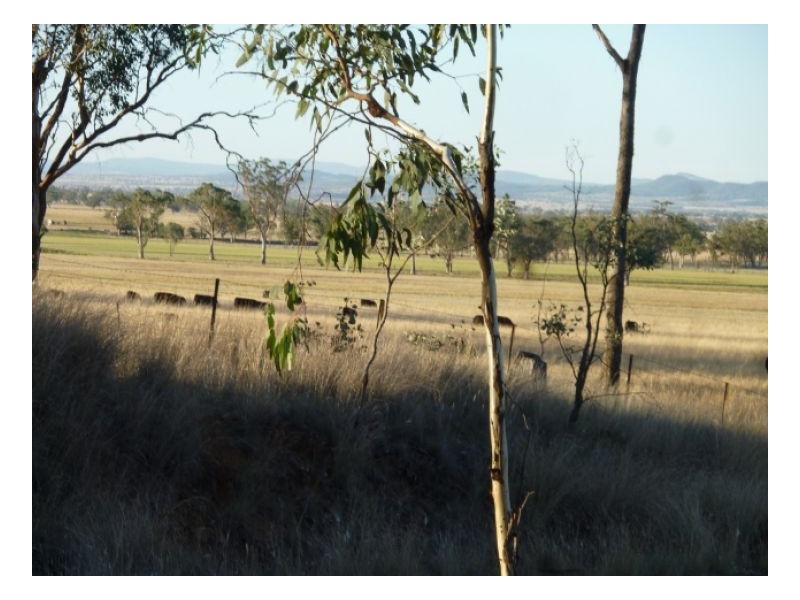 ROCKLEIGH – Winton, Tamworth NSW 2340