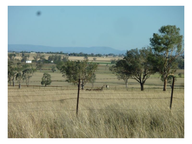 ROCKLEIGH – Winton, Tamworth NSW 2340