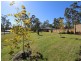 Nabiac NSW 2312