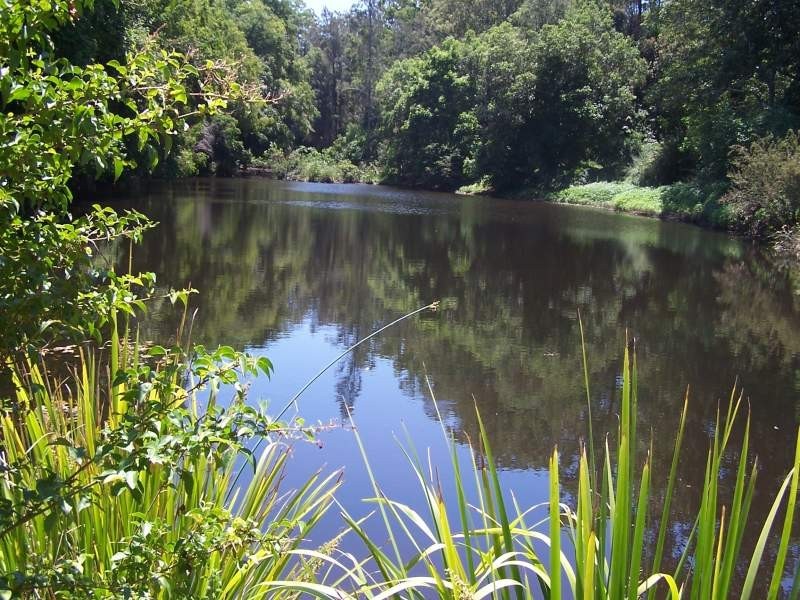 80 Dargavilles Road, Nabiac NSW 2312
