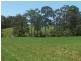80 Dargavilles Road, Nabiac NSW 2312